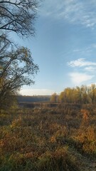 Осениий пейзаж