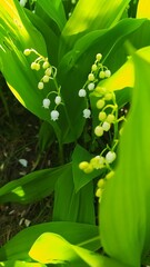 Внесение цветы4