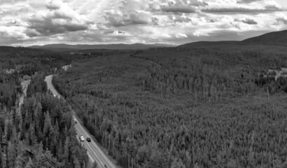 Yellowstone forest and river panoramic aerial view in summer season, Wyoming, USA