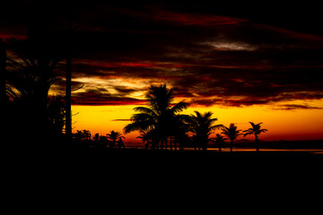 Beautiful landscape at dawn on the beach