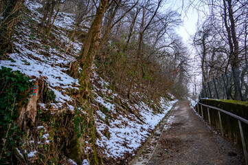 Walkpath in the forests
