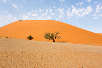 View of red sand dune in sossusvlei