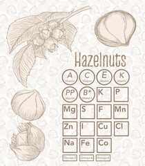 Informative plate with illustrations of nuts, hazelnuts, signs and symbols, the content of vitamins and trace elements