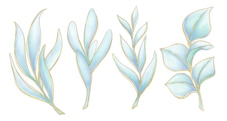Watercolor illustrations, twigs of blue, green on a white background, decorative elements with a golden outline