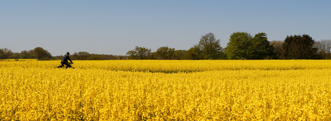 Schleswig-Holstein