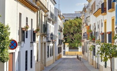 dans les rues de Cordoue et dans les maisons avec cour intérieure et patio typiquement andalouse...