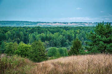 Obraz premium landscape, forest road