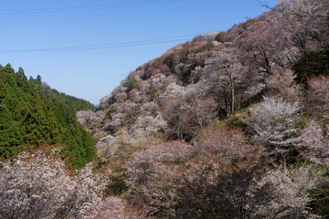 rocks in the mountains