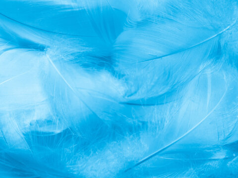 Blue Portrait Backdrop Images Browse 28 249 Stock Photos Vectors And Video Adobe Stock