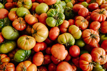 red and green tomatoes