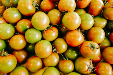 yellow cherry tomatoes 