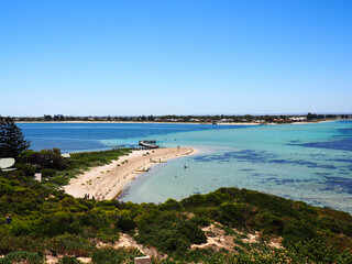 Obraz premium Penguin Island Western Australia beautiful