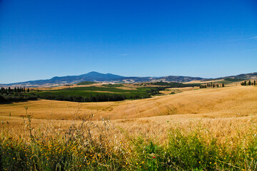 Fototapeta na wymiar Val d'Orcia,Siena, Toscana,panorami