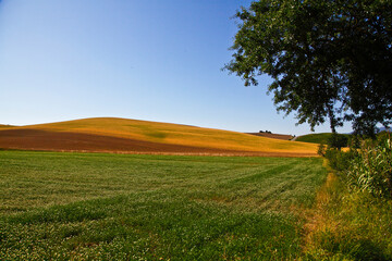 Val d'Orcia,Siena, Toscana,panorami