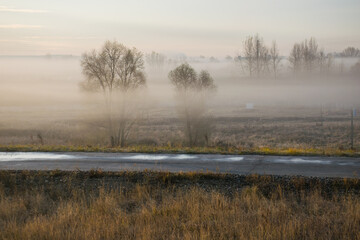 fog on the road along the field at dawn. fog in the autumn field along the highway
