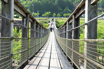 suspension bridge in the forest - obrazy, fototapety, plakaty