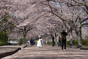 walk in the park