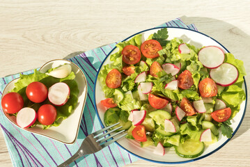 Fresh chopped vegetable salad of tomatoes, cucumbers, radishes and greens on a white plate.