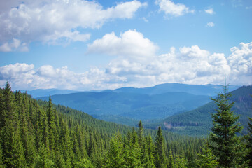 Fototapeta na wymiar Mountain view through the forest