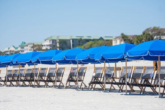 Row of beach chairs and umbrellas on the beach