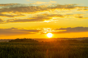 Sunset over green field