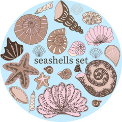 Vector set of seashells isolated in different sizes