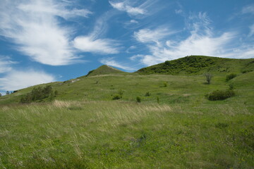 picturesque hills against the sky. summer green hills against a clear sky