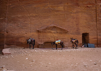 Views of the lost Nabatean city of Petra in Jordan