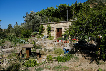 Countryside views in Kissamos, Crete