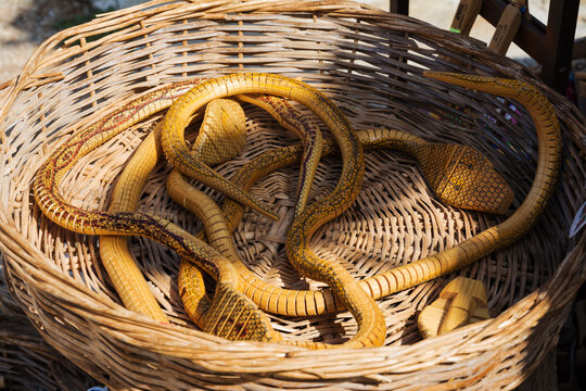 Wooden cobras in a basket. Souvenirs. Trips