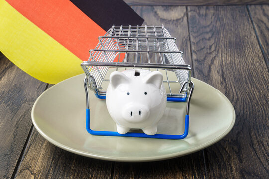 Piggy bank on plate under shop basket and Germany flag. Trade inflation concept