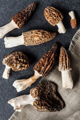 Morel mushrooms closeup on black background
