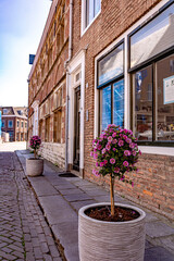 Quiet pavement street in the town in perspective with blooming flowers in front of the facades on a bright sunny day
