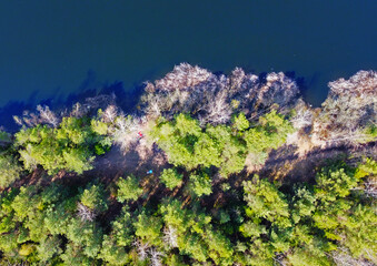 Top view from the quadrocopter of the river and the winter green forest