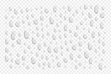 Vector realistic isolated water droplets on the transparent background.