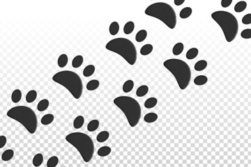 Vector cartoon isolated paw prints for template decoration on the transparent background. - obrazy, fototapety, plakaty