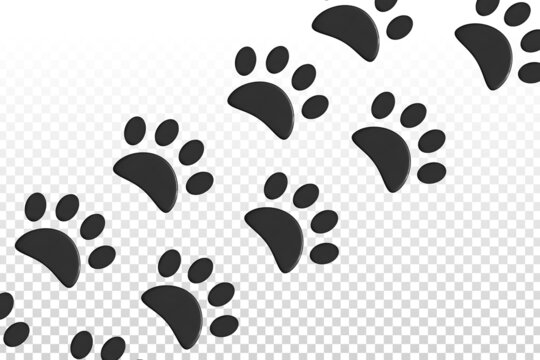 Vector cartoon isolated paw prints for template decoration on the transparent background.