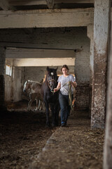 A young beautiful female worker takes care of a horse on a farm.