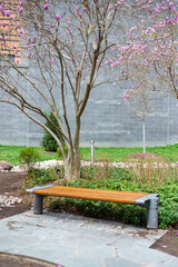 Bench in park in Arlington Virginia, nature, rocks, landscape, greenscape, yard, yardwork, cherry blossom