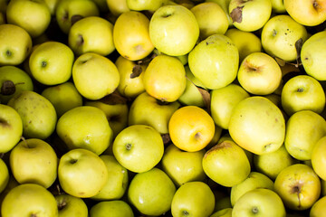 Green apples on sale at the local market. Apples background