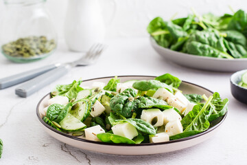 Fresh salad of cucumbers, spinach, cheese and pumpkin seeds in a plate on the table. Copy space