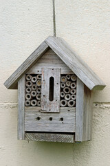 Bug hotel with bamboo canes