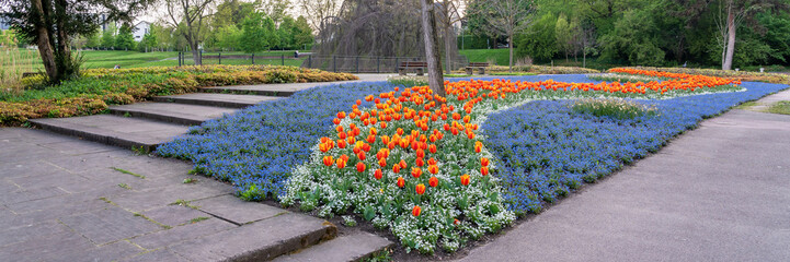 Tulips bed
