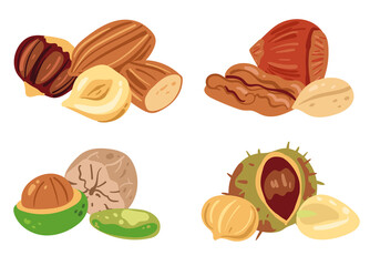 Nuts isolated set collection. Vector flat cartoon design element illustration
