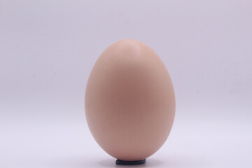 natural field egg, organic and natural