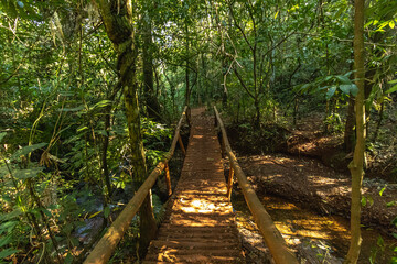 Natural landscape in Serra do Rola Moça, city of Belo Horizonte, State of Minas Gerais, Brazil
