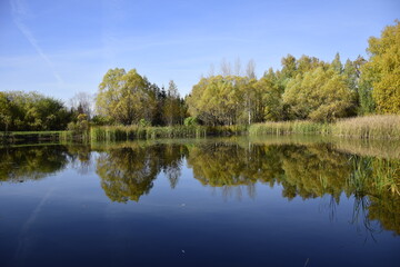Fototapeta na wymiar Ulyanovsk Russia, 4 October 2016: Reflections of trees in a calm lake in the autumn arboretum.