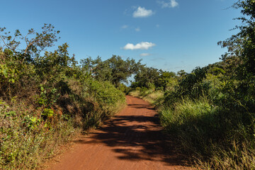 Fototapeta premium Natural landscape in Serra do Rola Moça, city of Belo Horizonte, State of Minas Gerais, Brazil