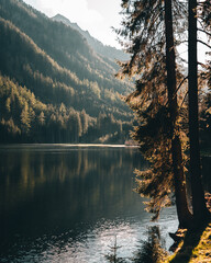 Goldenes Licht mit B&auml;umen im Vordergrund an einem Bergsee