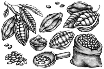 Vector set of hand drawn black and white cocoa beans, cocoa